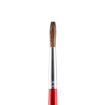 Picture of JUNIOR PAINTBRUSH ROUND